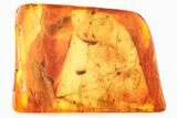 Detailed Fossil Spider Webs In Baltic Amber - Rare! #325481-1